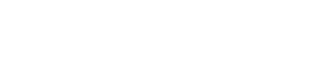 Domain Express Logo